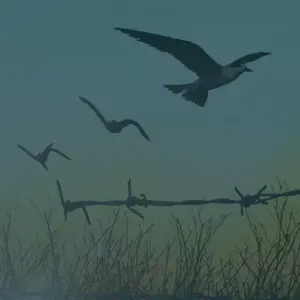 Recovery at Work Video Series